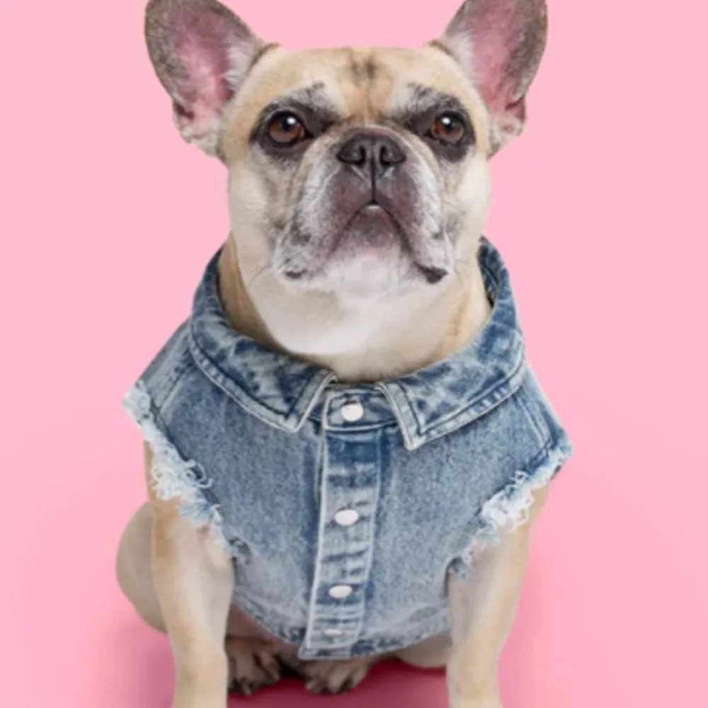 Barbie Denim dog Jacket - Picture 14 of 14